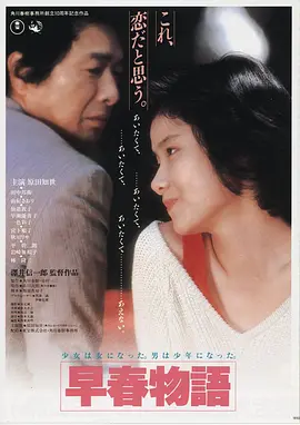 大头仔电影完整版 海报